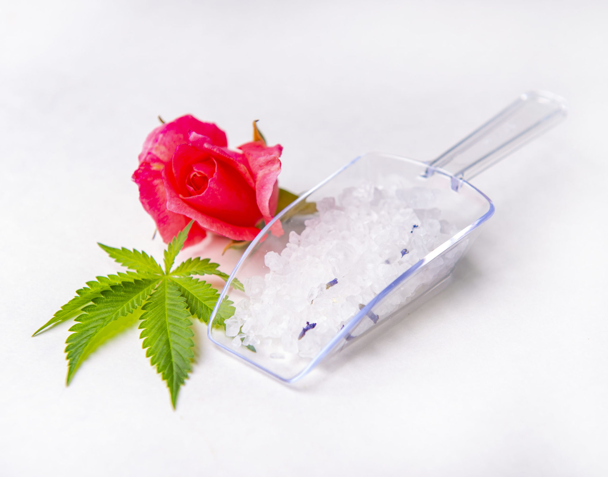 Cannabis infused bath salts with marijuana leaf and rose bud isolated over white background